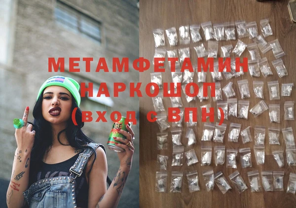 прущие грибы Гусиноозёрск