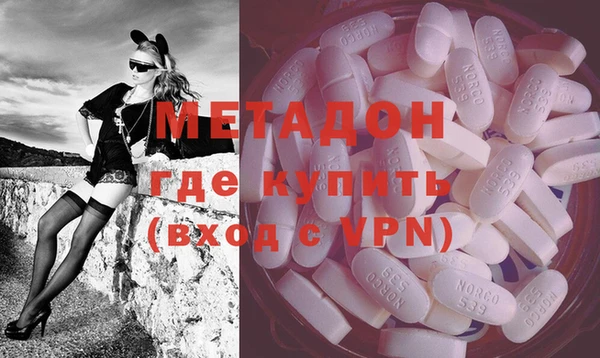 прущие грибы Гусиноозёрск