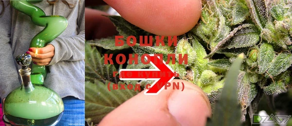 прущие грибы Гусиноозёрск