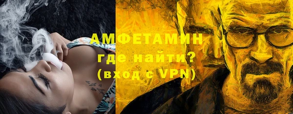 прущие грибы Гусиноозёрск