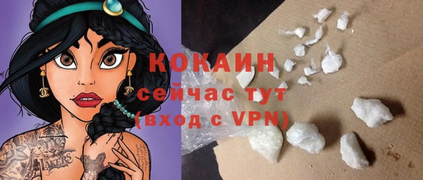 прущие грибы Гусиноозёрск