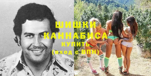 прущие грибы Гусиноозёрск