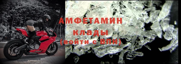прущие грибы Гусиноозёрск
