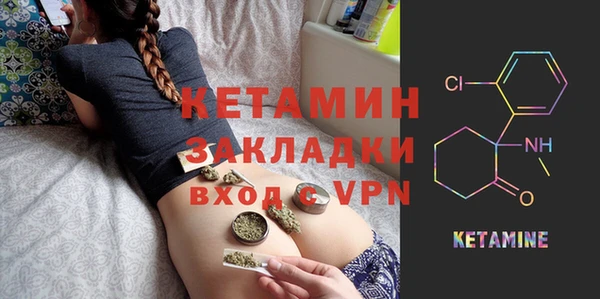 прущие грибы Гусиноозёрск
