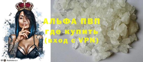 прущие грибы Гусиноозёрск